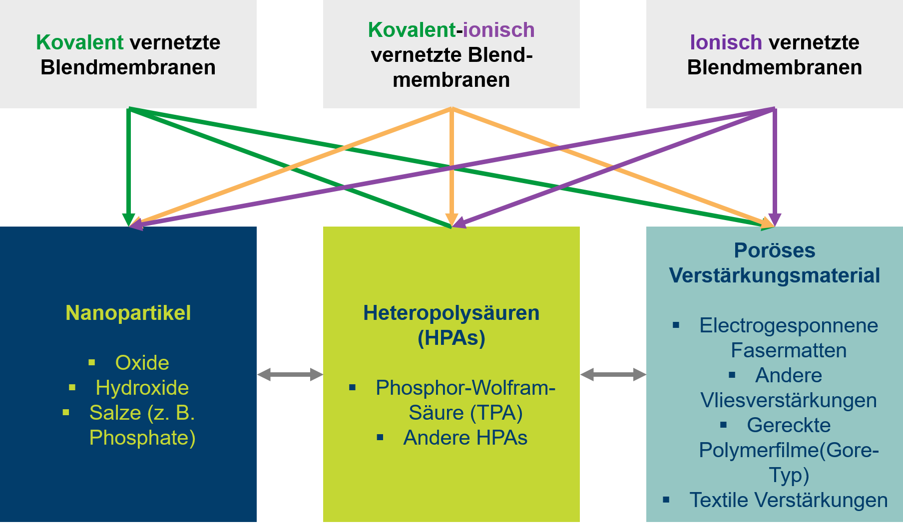 Membranentwicklung