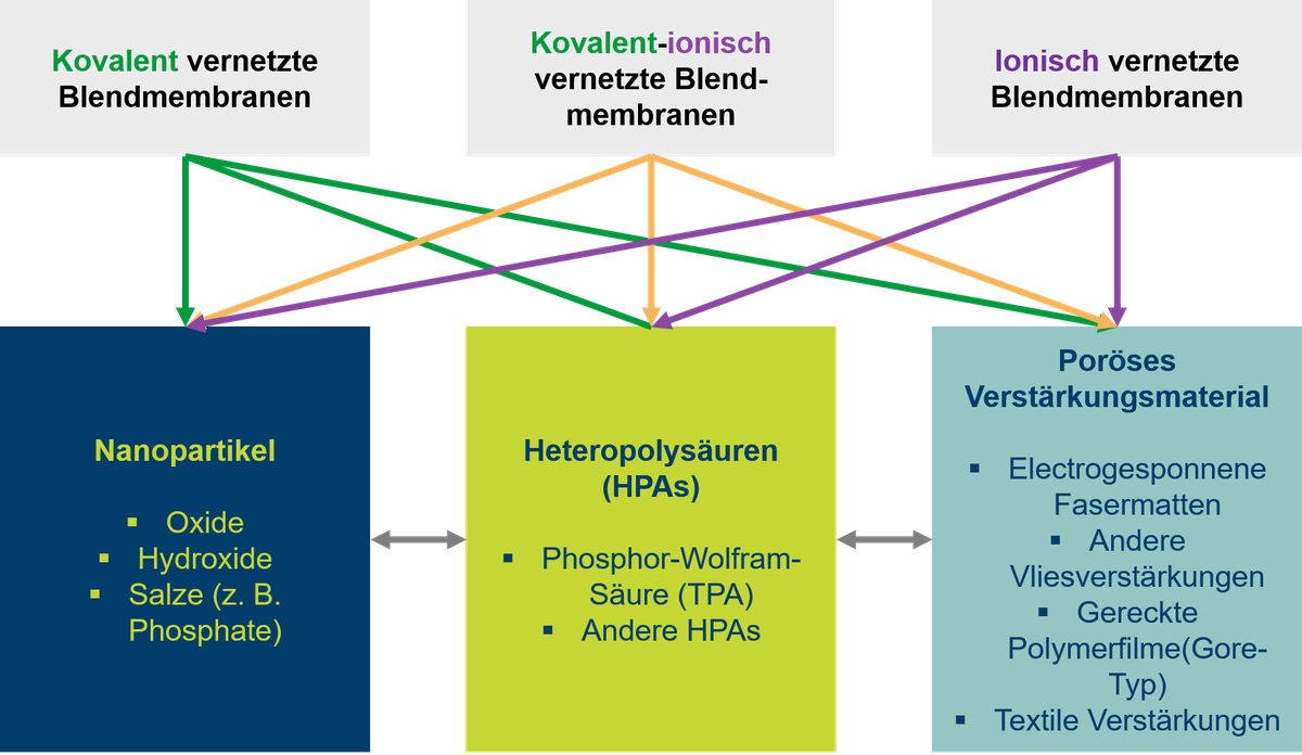 Membranentwicklung