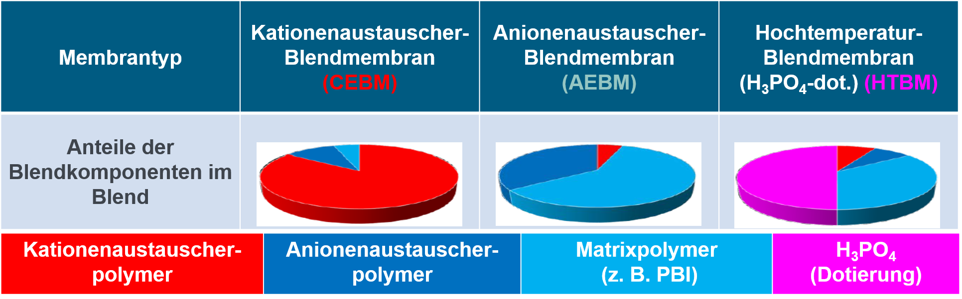 Membranentwicklung