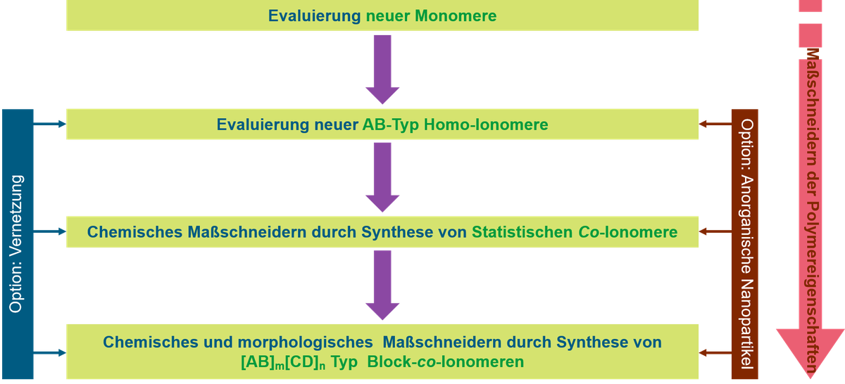 Polymerentwicklung