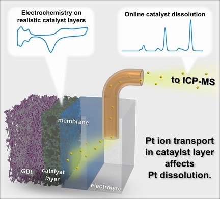 New paper published: “Pt Platinum Dissolution in Realistic Fuel Cell Catalyst Layers” published in Angewandte Chemie
