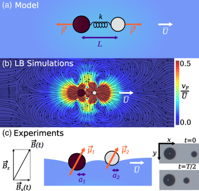 New publication in Physical Review Letters