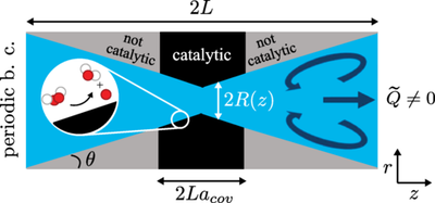 News_Pumping_and_mixing_in_active_pores_Antunes_Malgaretti_diagram1.png