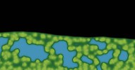 Simulation of Film Morphologies in Printable Photovoltaics