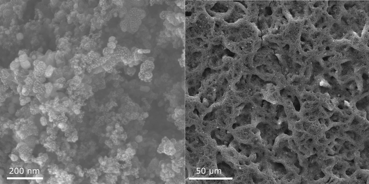 Non-precious hydrogen evolution reaction (HER) catalysts