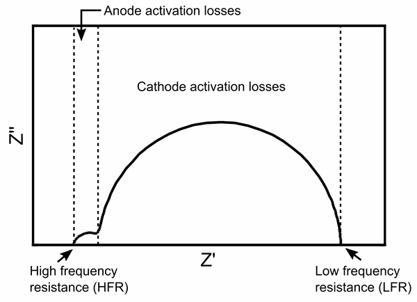 Electrochemical characterization of single cells