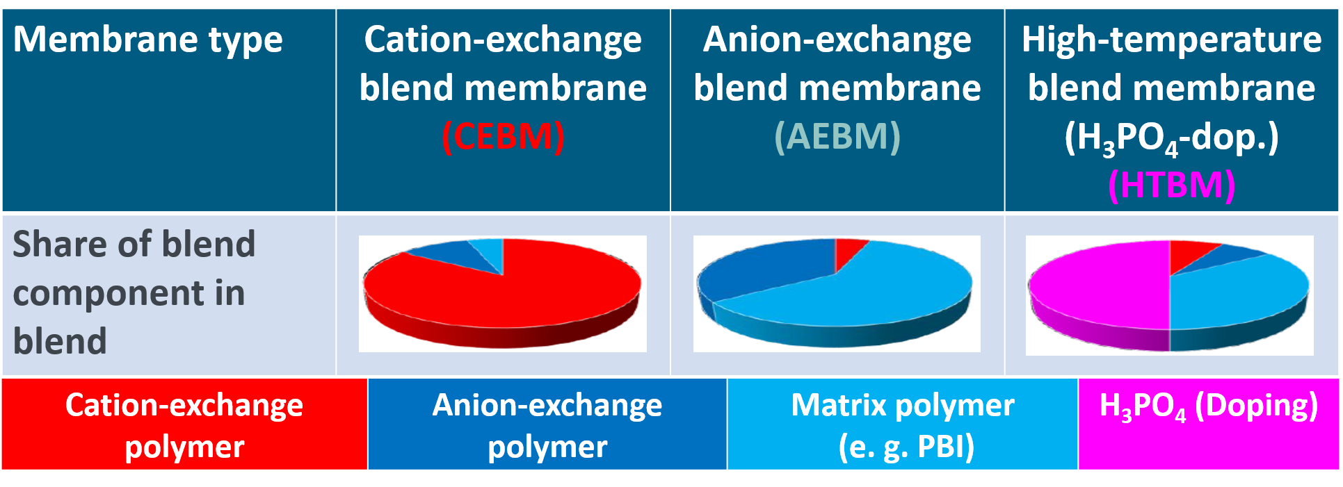 Membrane Development