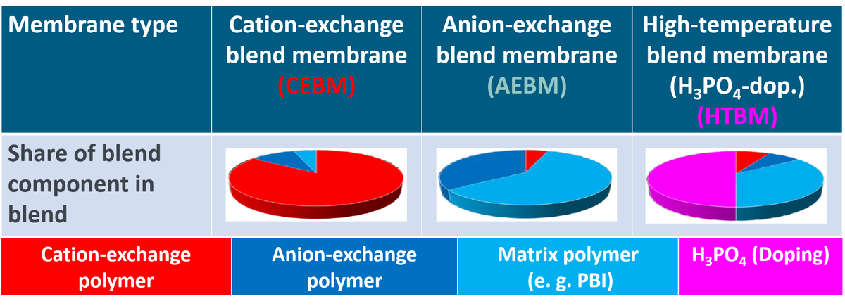 Membrane Development